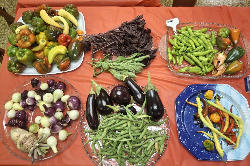 2025 Garden crop 2