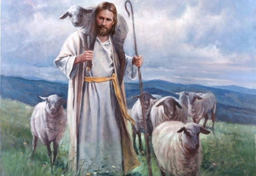 Good Shepherd