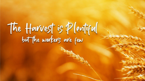Harvest