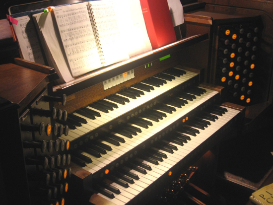 Organ pic