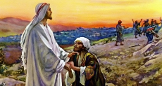 Thankful servant
